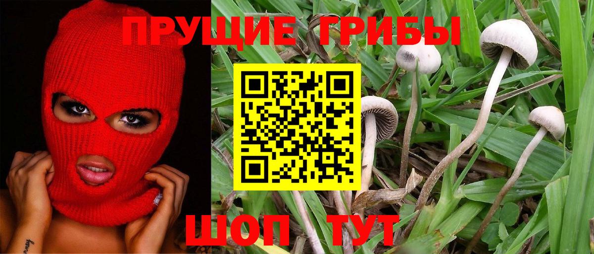 Кушва  Псилоцибиновые грибы Magic Shrooms  Вход с VPN 